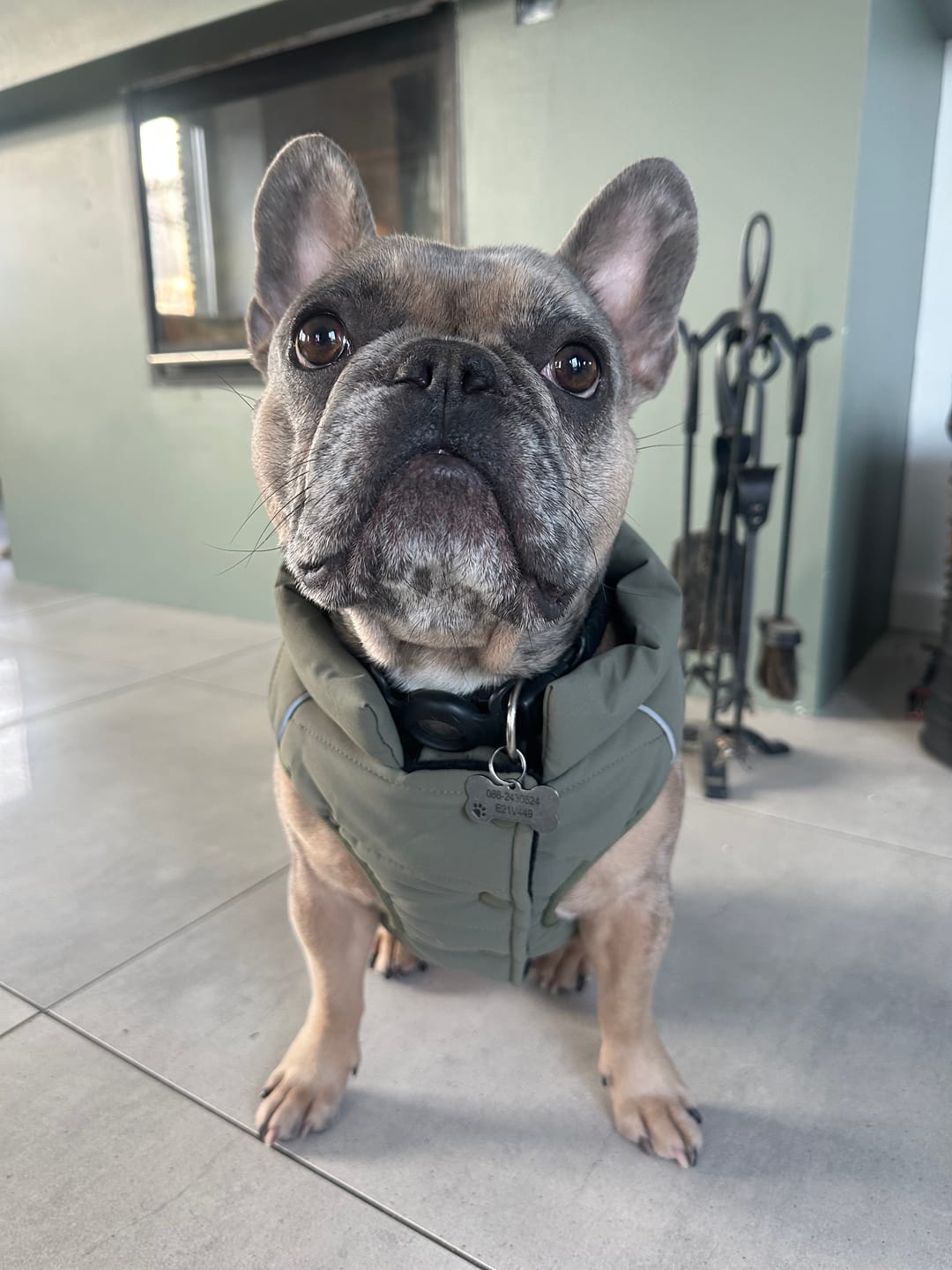 Customer photo review of WarmShield Water-Resistant Jackets