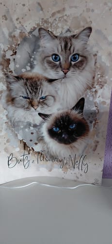Customer photo review of Aquarell Pawtrait