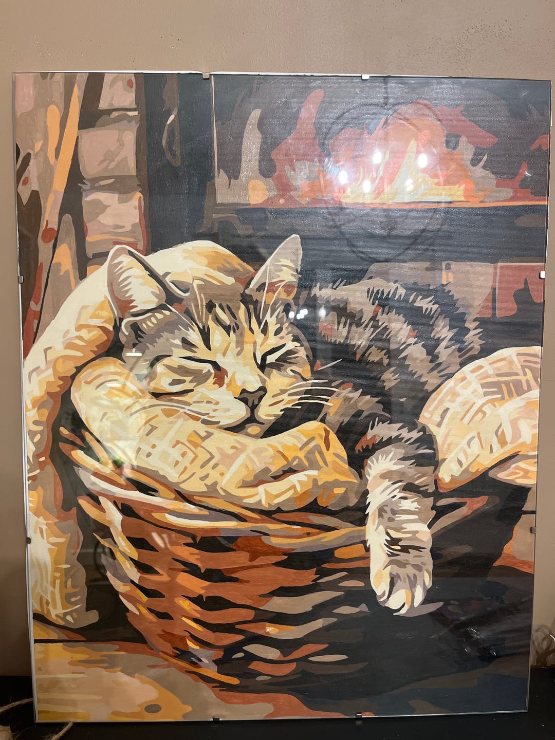 Customer photo review of Bascat