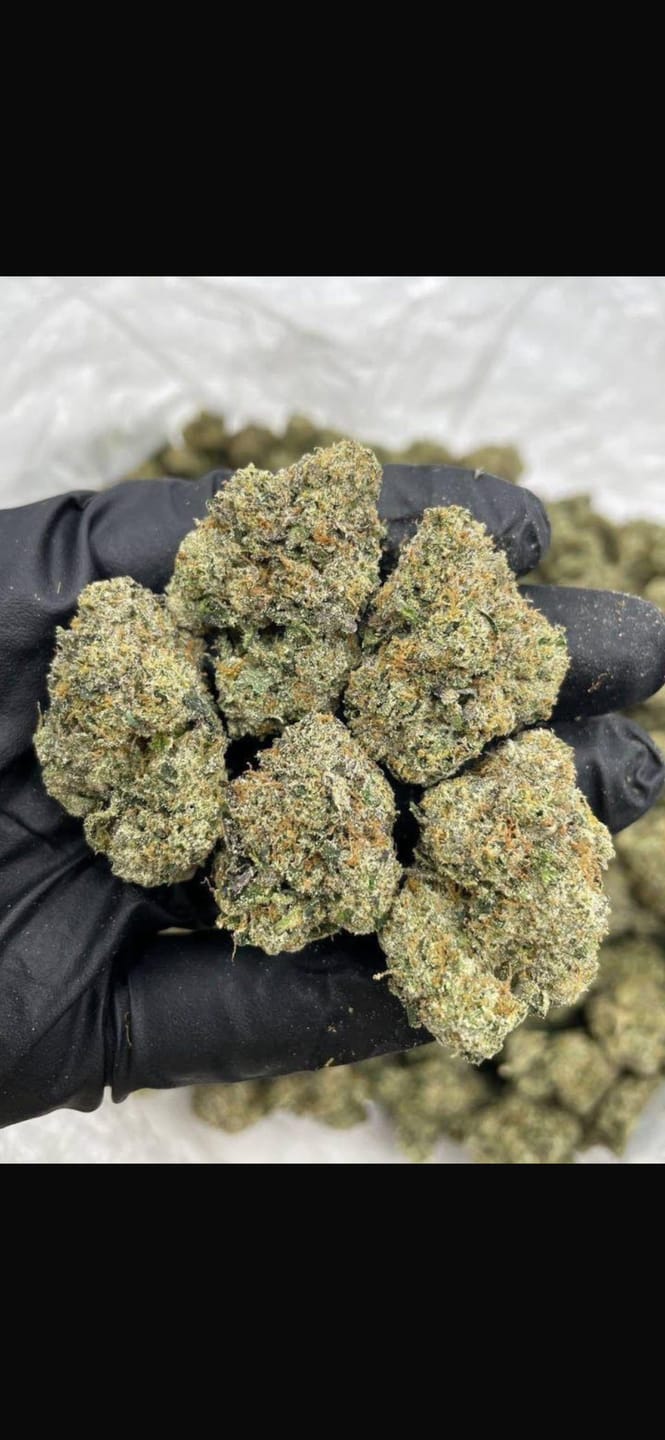 Customer photo review of Wedding Crasher THCA Flower LB