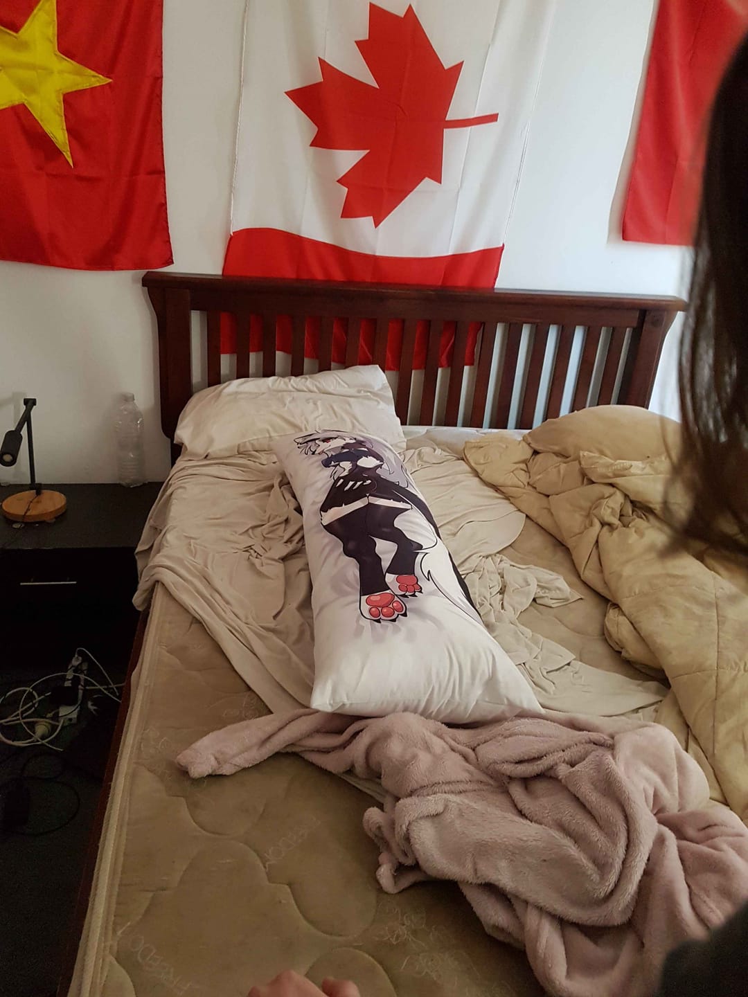 Customer photo review of Loona Body Pillow  Loona Furry