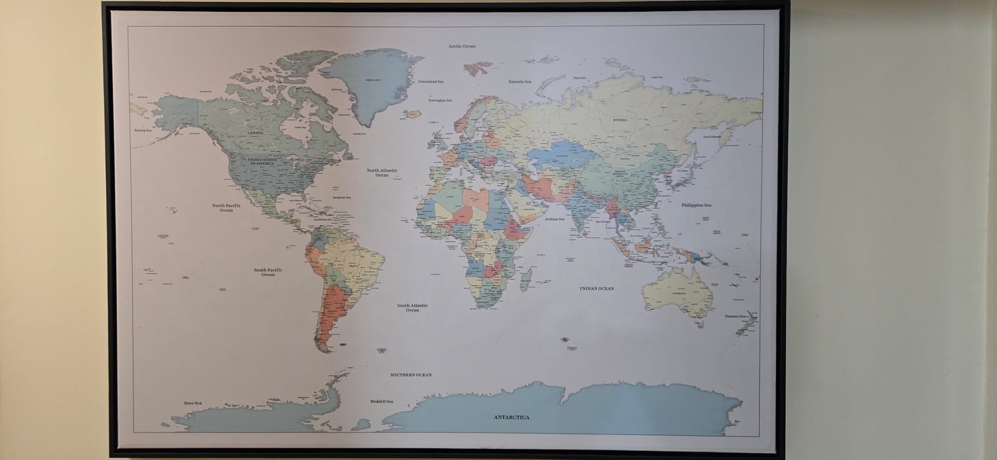 Customer photo review of Smart Pin World Map - Safari