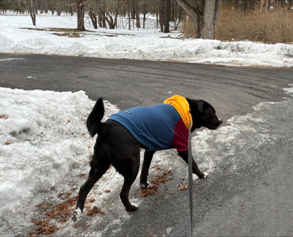 Customer photo review of Primary Color Block Human Hoodie