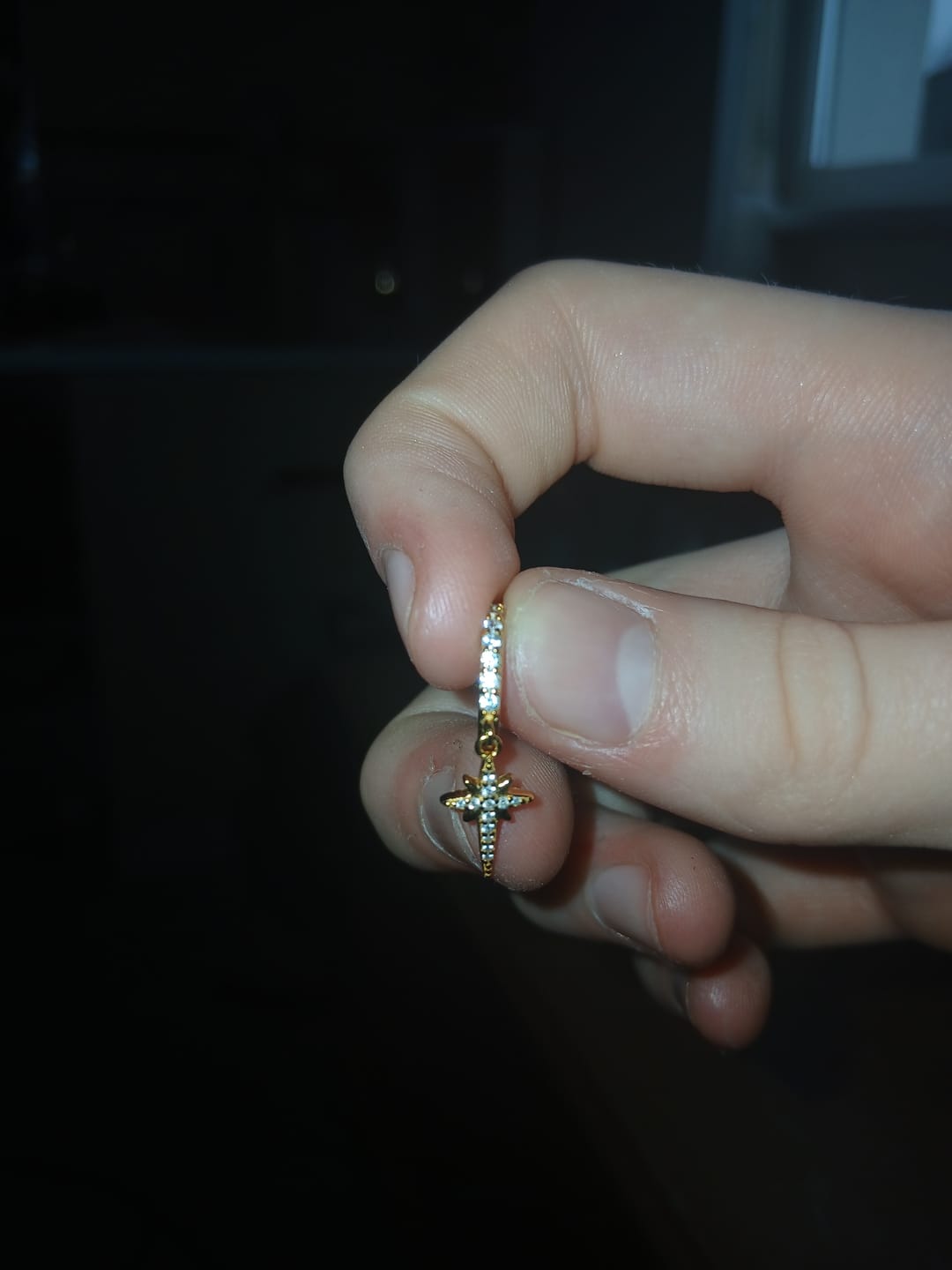 Customer photo review of North Star Hoop Earrings Gold