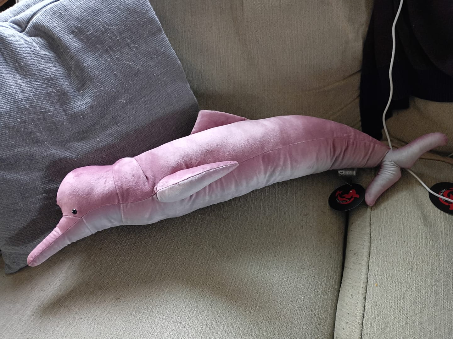 Customer photo review of Specimen 3 - Amazon River Pink Dolphin Plush