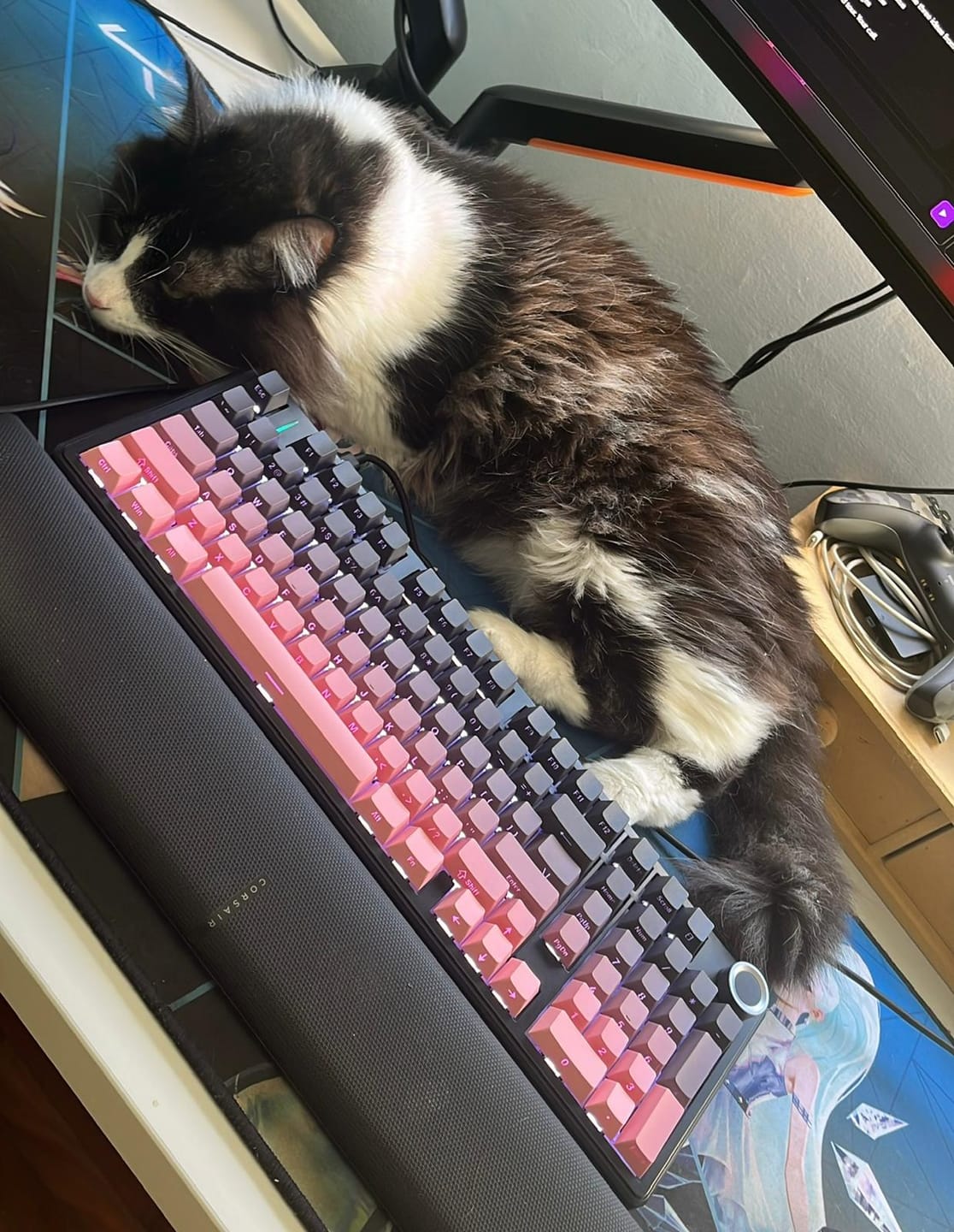 Customer photo review of AULA F99 Pro - Bruma