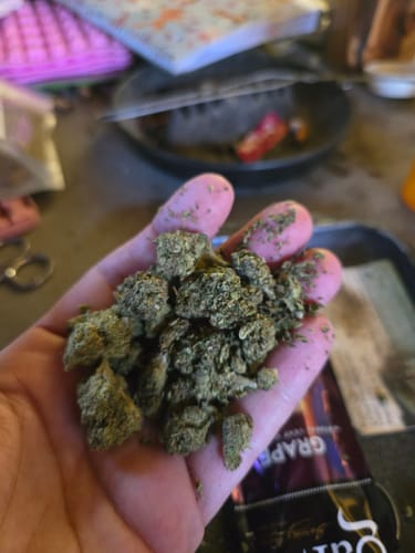 Customer photo review of Venom OG - Bulk - Indica