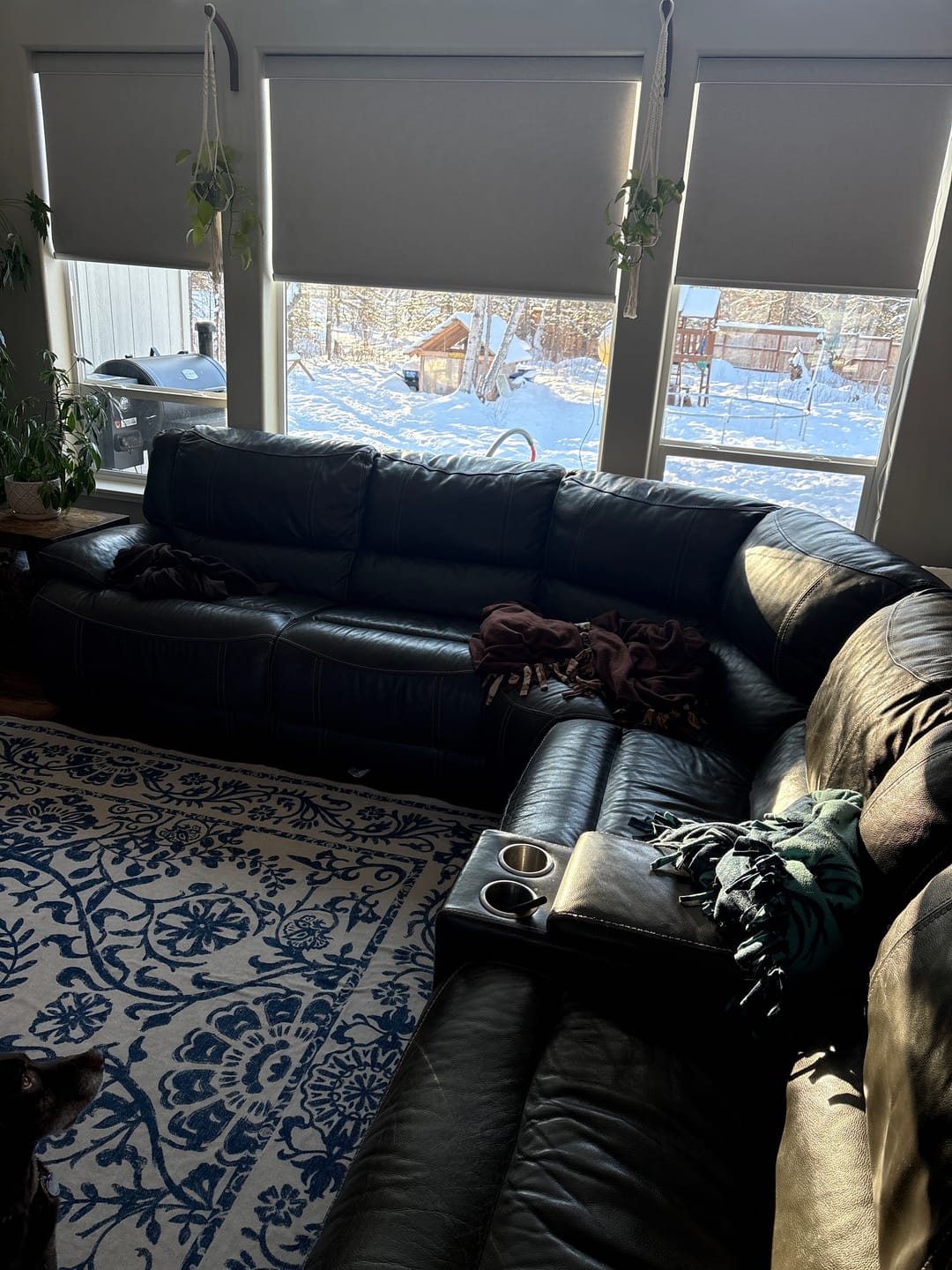 Customer photo review of SmartWings Motorized Roller Shades 100% Blackout Safari