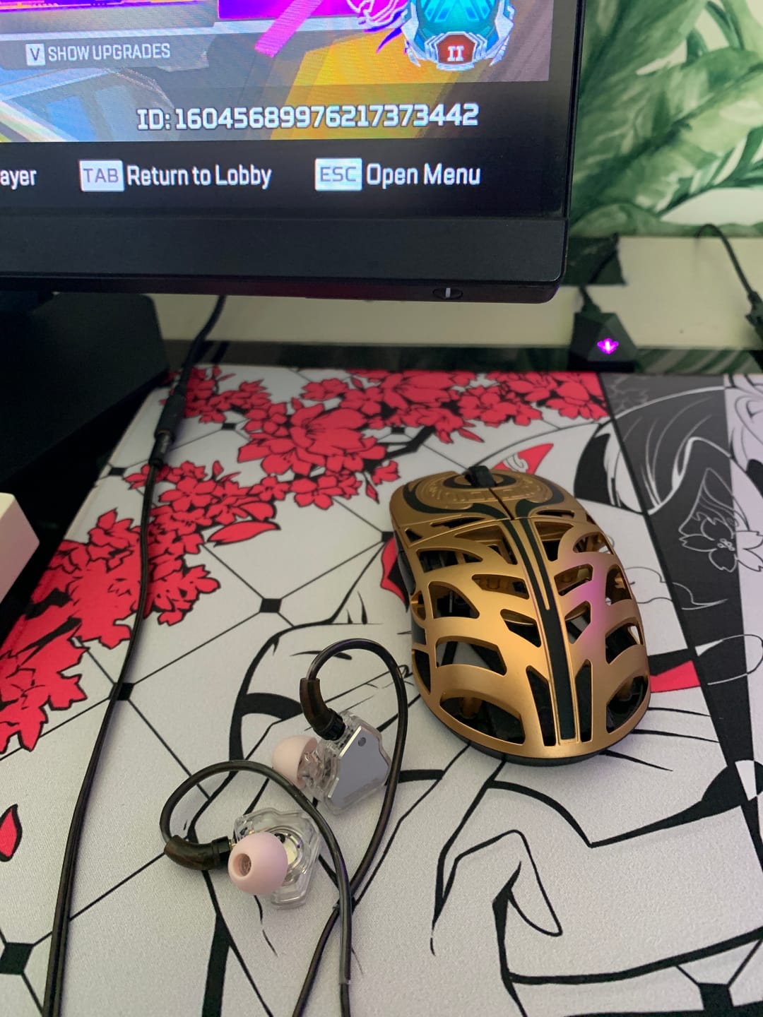 Customer photo review of 7HZ Zero: 2 IEM Kulaklık