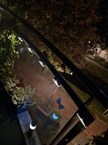 Kundeanmeldelse med foto af LumiGarden