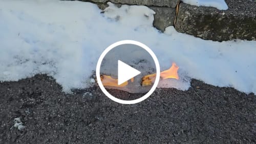 Customer video review of Fire Plugs - Fire Starter Tinder