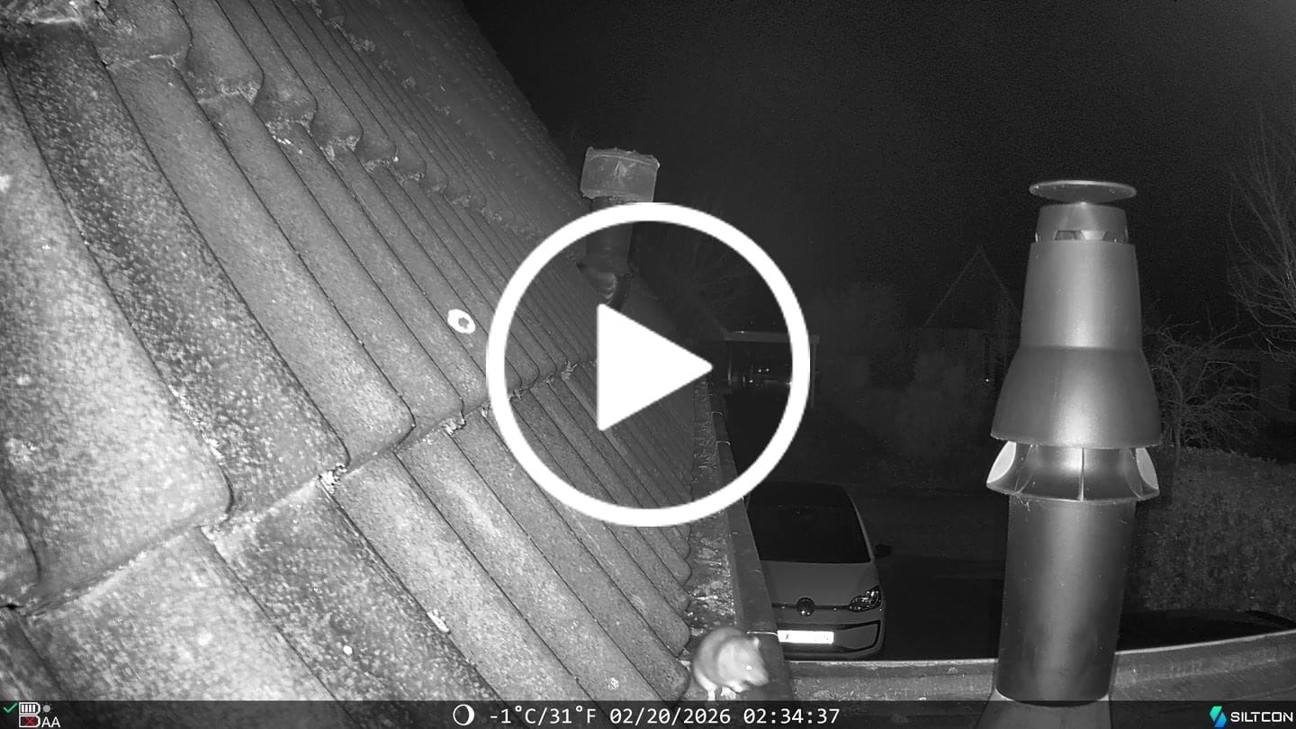 Customer video review of Siltcon® Wildcamera met Zonnepaneel 8K