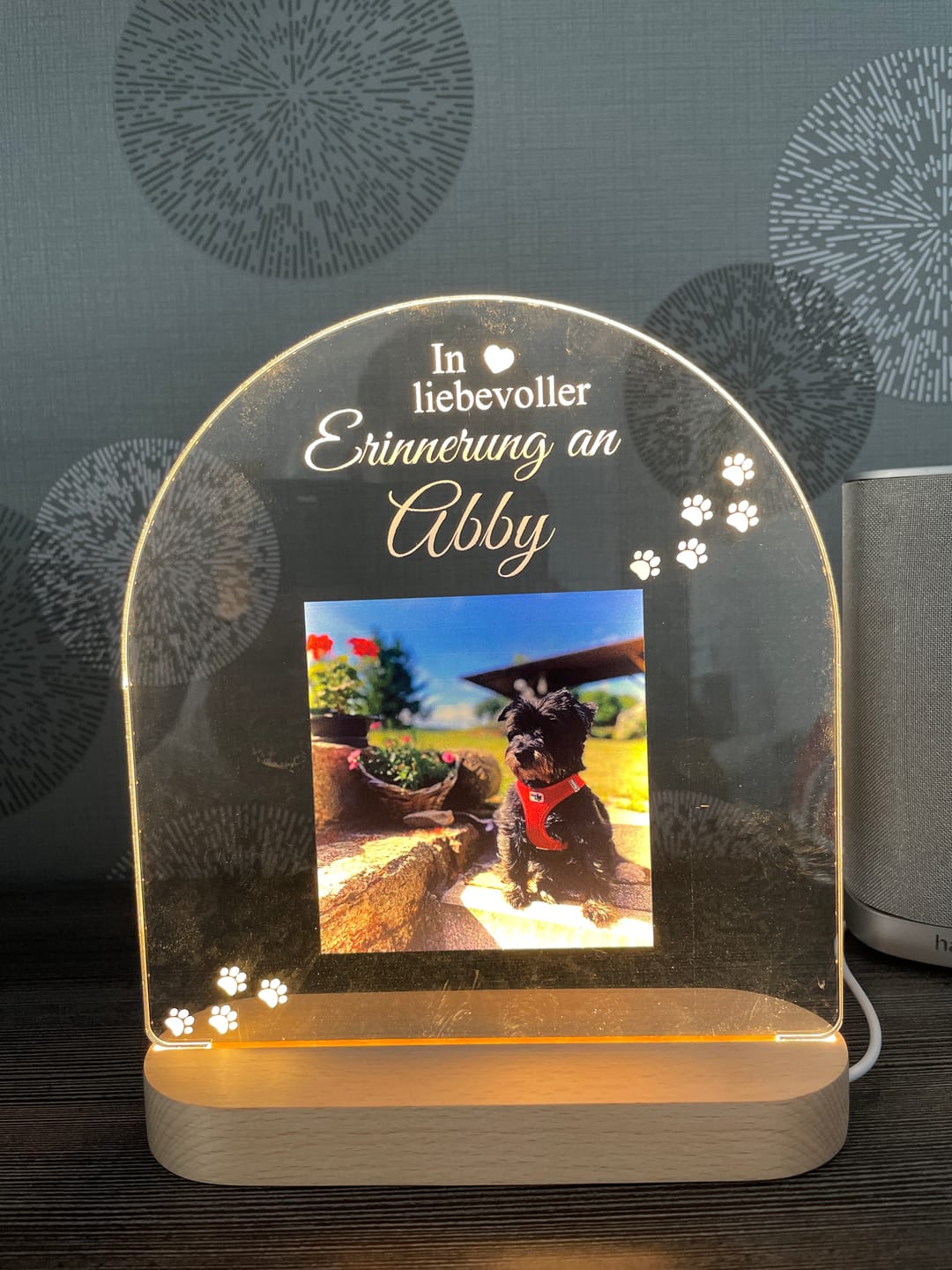 Customer photo review of Zur liebevollen Erinnerung – LED-Lampe für Hund/Katze