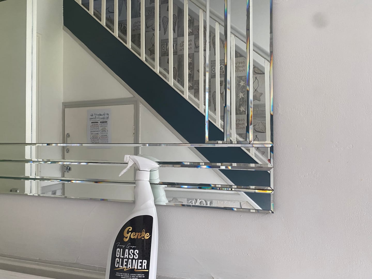 Customer photo review of Shower and Glass Cleaner
