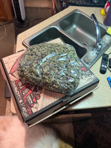 Customer photo review of Mochi Gelato - Bulk - Indica