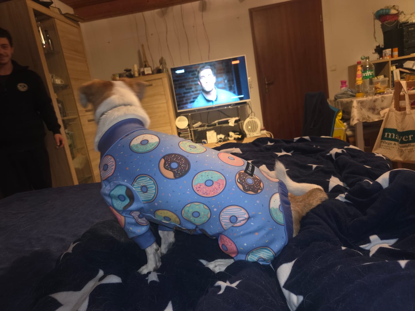 Customer photo review of Dog Pajama Prints