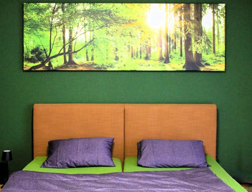 Customer photo review of Leinwandbild | Natur pur - Der Wald | Panorama