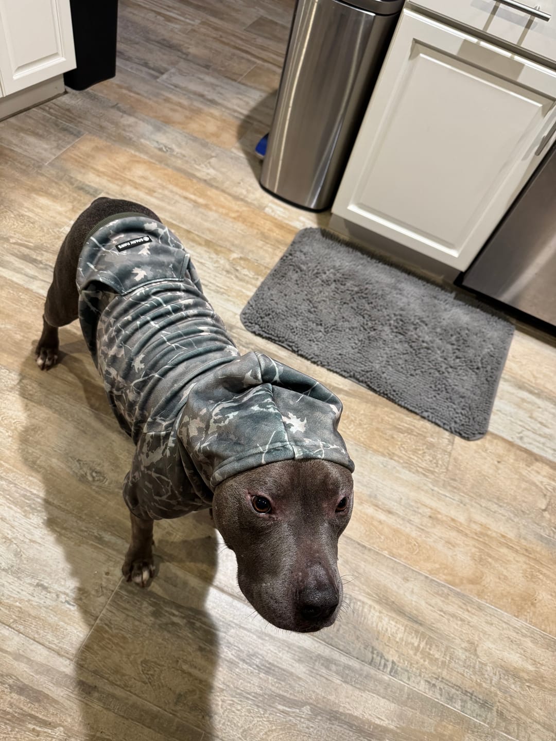 Customer photo review of Camo Dog Hoodies