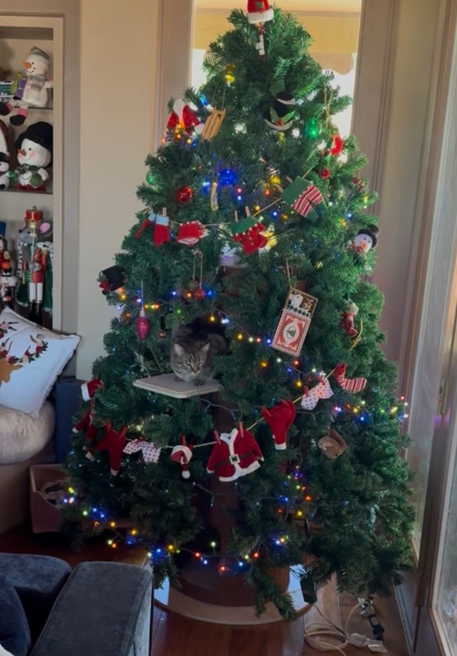 Customer photo review of Cat Christmas Tree - Sep 2026