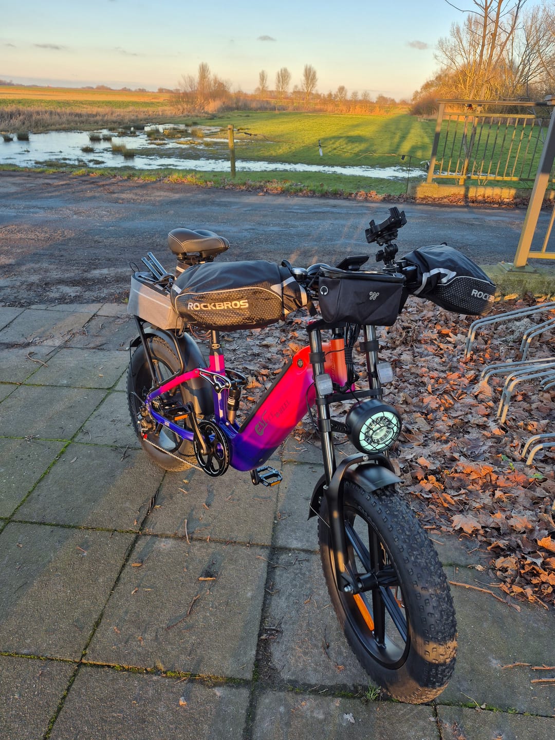 Customer photo review of CMACEWHEEL V20 750W 20" Fat Bike 960Wh Full Suspension E-bike with Torque Sensor 48V 20Ah Battery