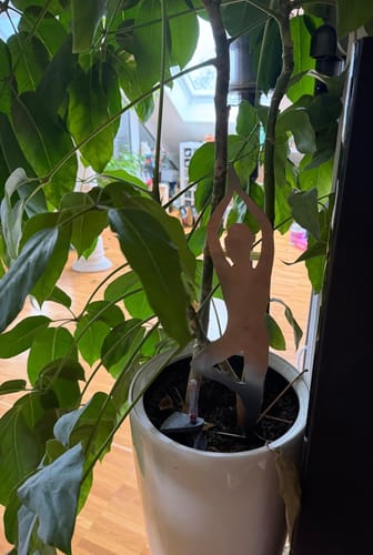 Customer photo review of Gartenstecker Yoga Baum