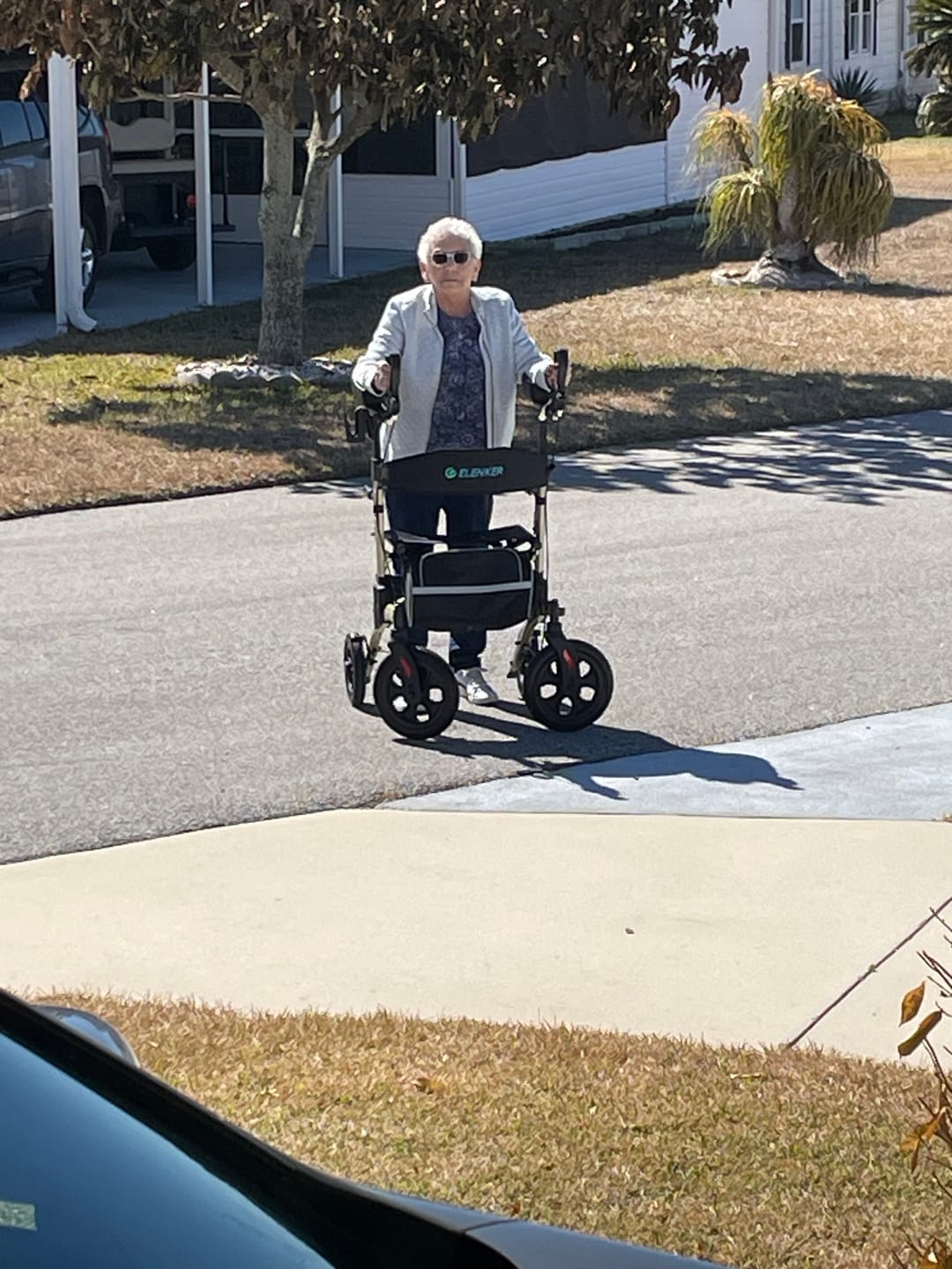Customer photo review of HFK-9240-2 All Terrain Dual-Brake Upright Walker 12" wheels