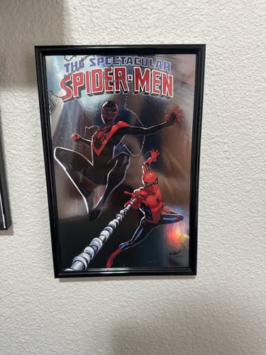 Customer photo review of The Spectacular Spider-Men (2024) #1B