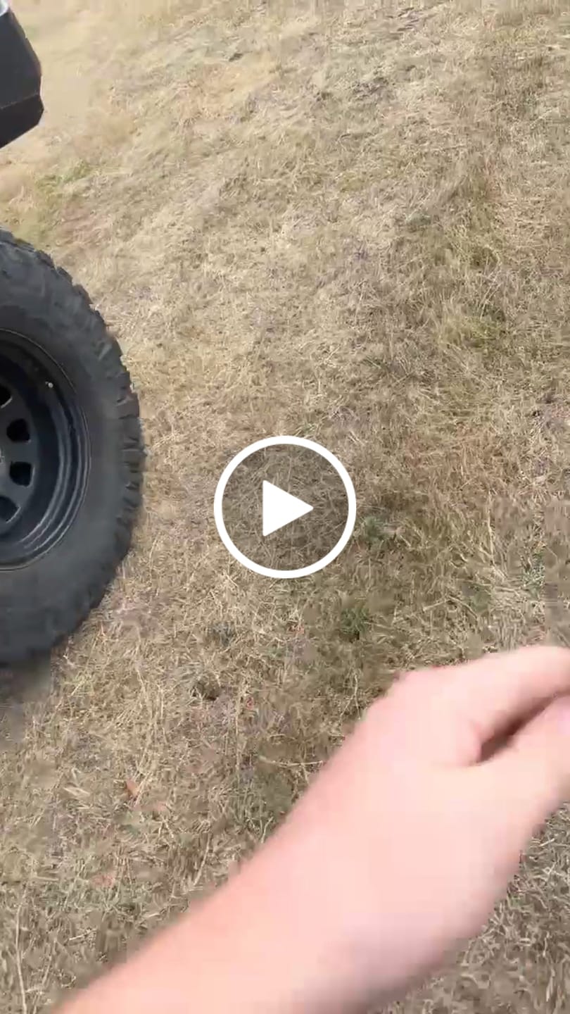 Customer video review of 6ft LED Whip Lights