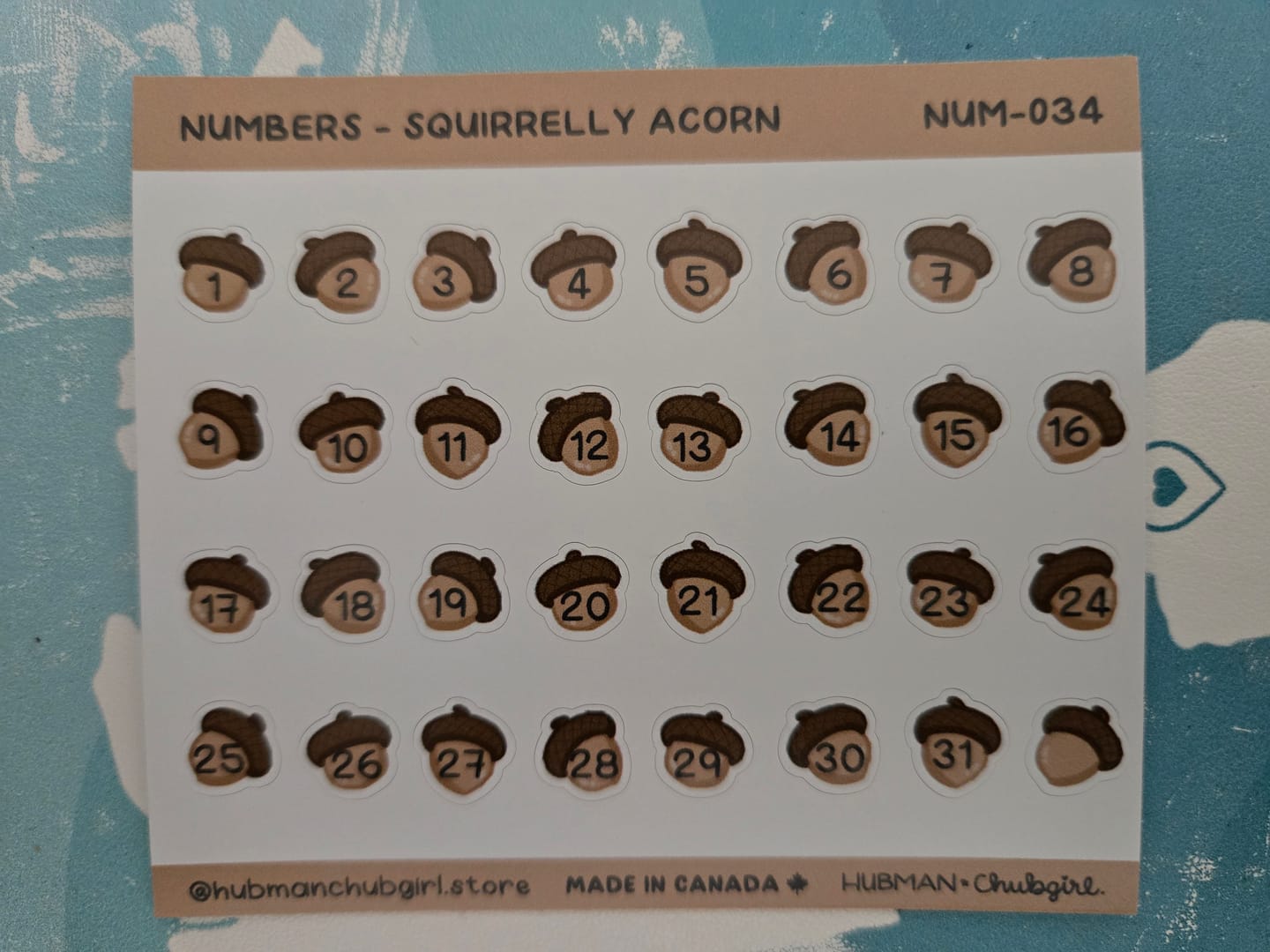 Customer photo review of Numbers - Squirrelly Acorn Planner Stickers