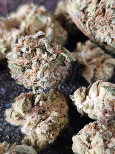 Customer photo review of Cheap THCA Flower Ounce