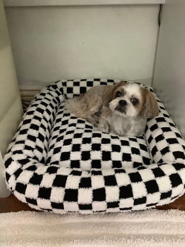 Customer photo review of Dog Bed Calming Pet Checkered Plush Bed Soft Washable Bed Non-Slip