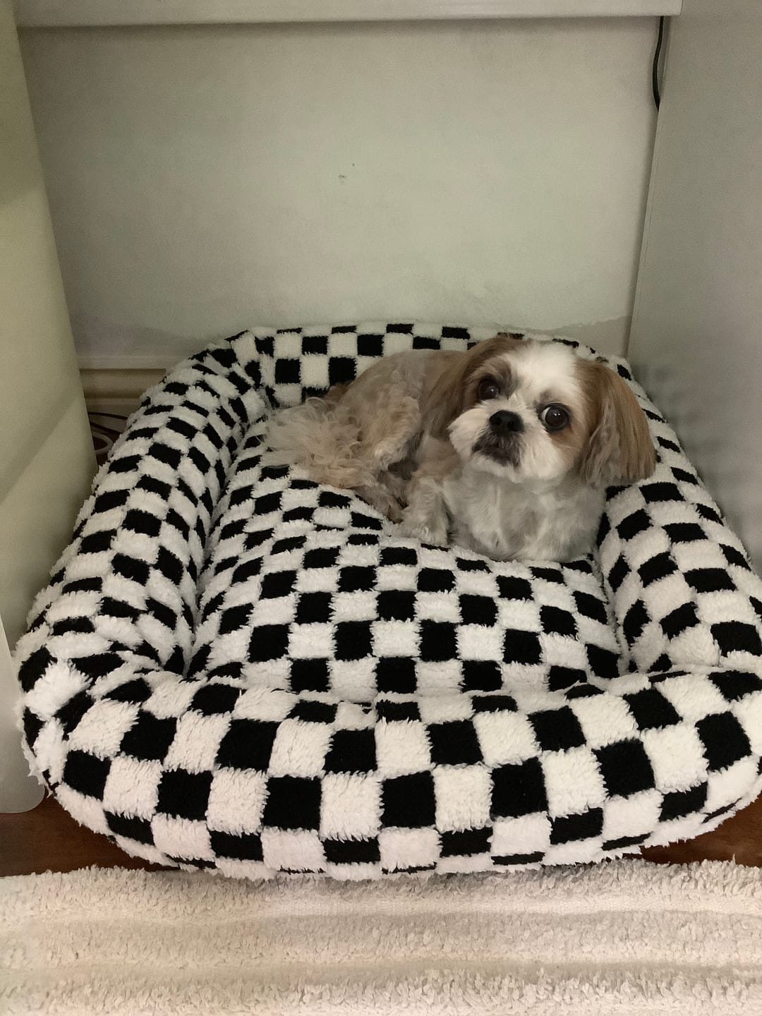 Customer photo review of Dog Bed Calming Pet Checkered Plush Bed Soft Washable Bed Non-Slip