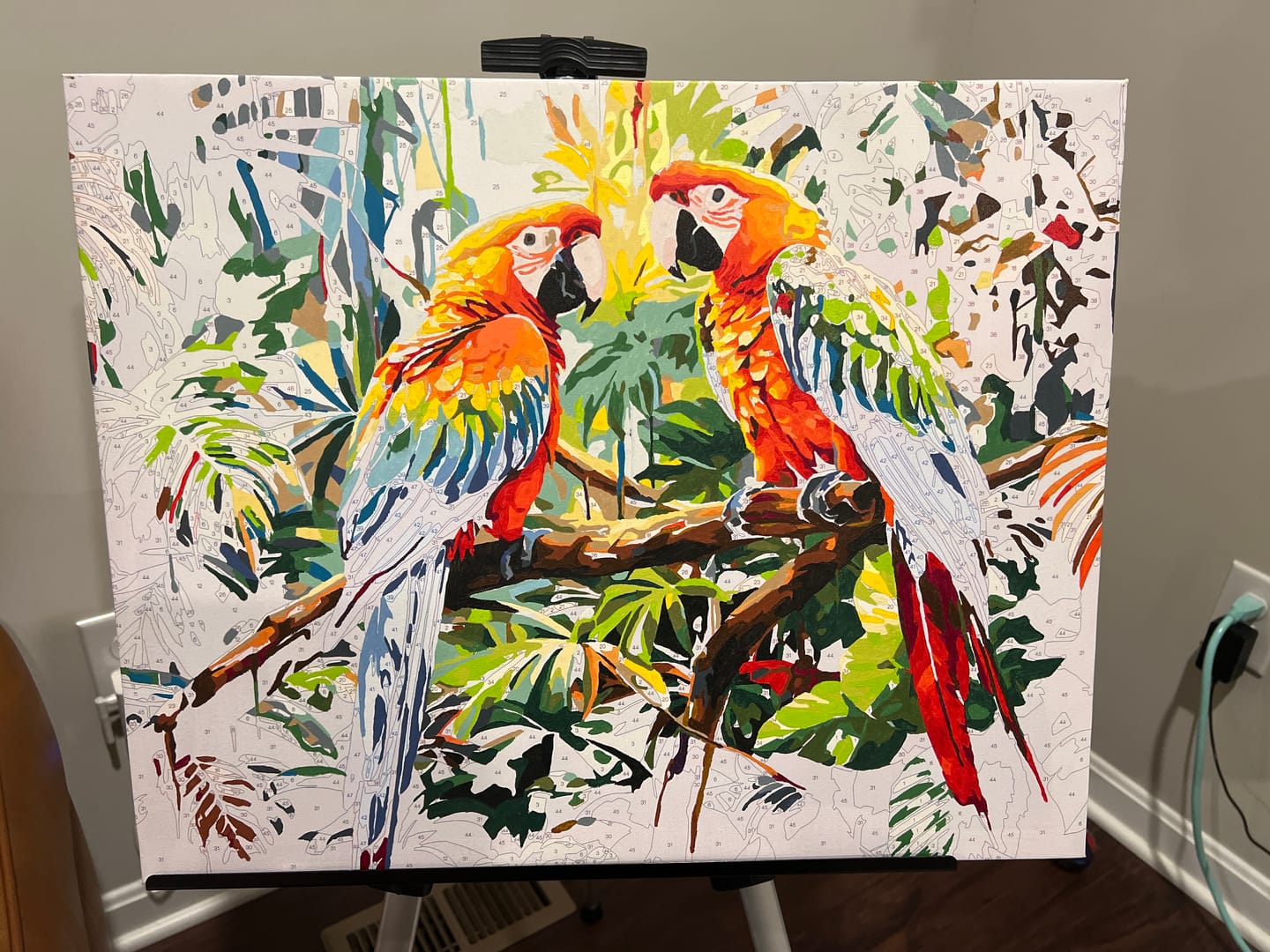 Customer photo review of Macaw Pair