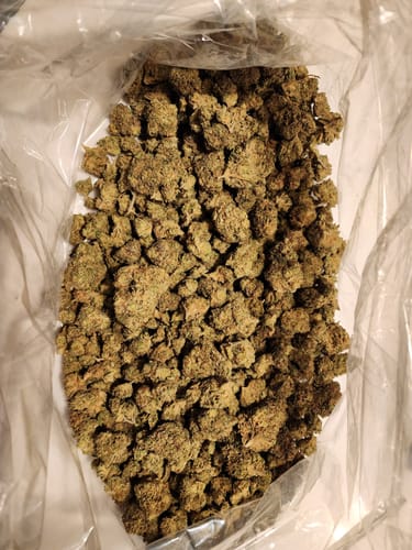 Customer photo review of Chem Dawg - Bulk - Hybrid