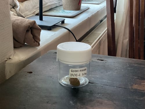 Customer's jar of Golden Mousse 30% THCA, showing the product inside on a wooden table.