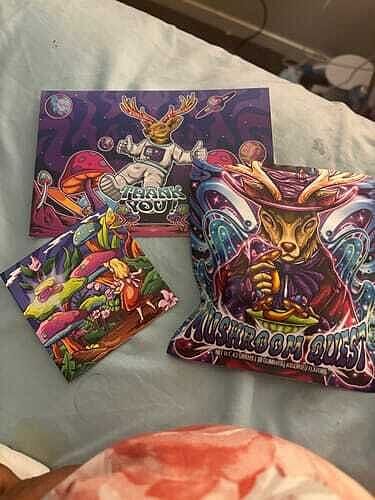 Customer photo review of Mushroom Quest