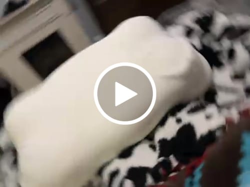 Customer video review of Mellow CloudAlign™ Pillow