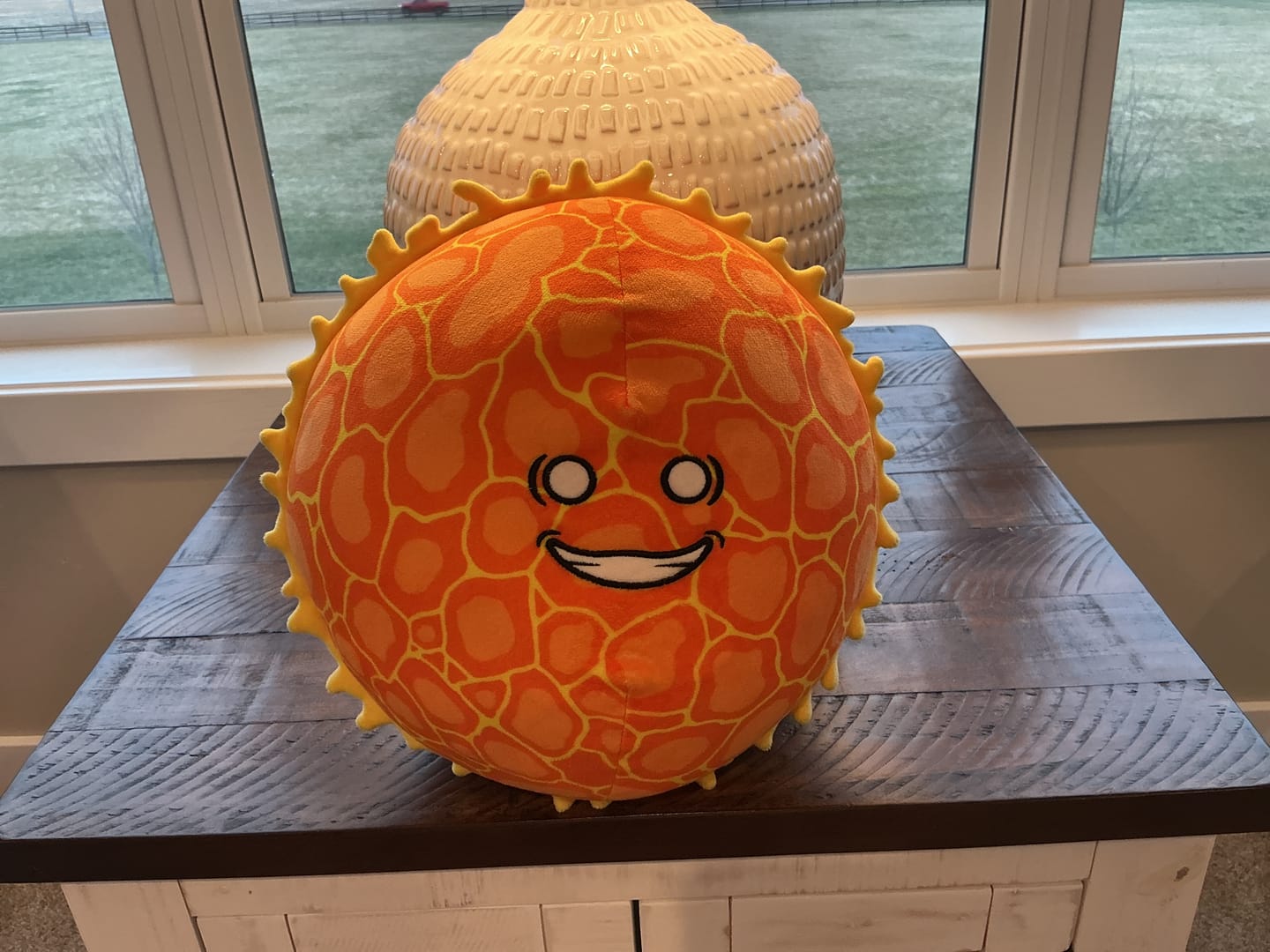 Customer photo review of The SolarBalls Sun Plush