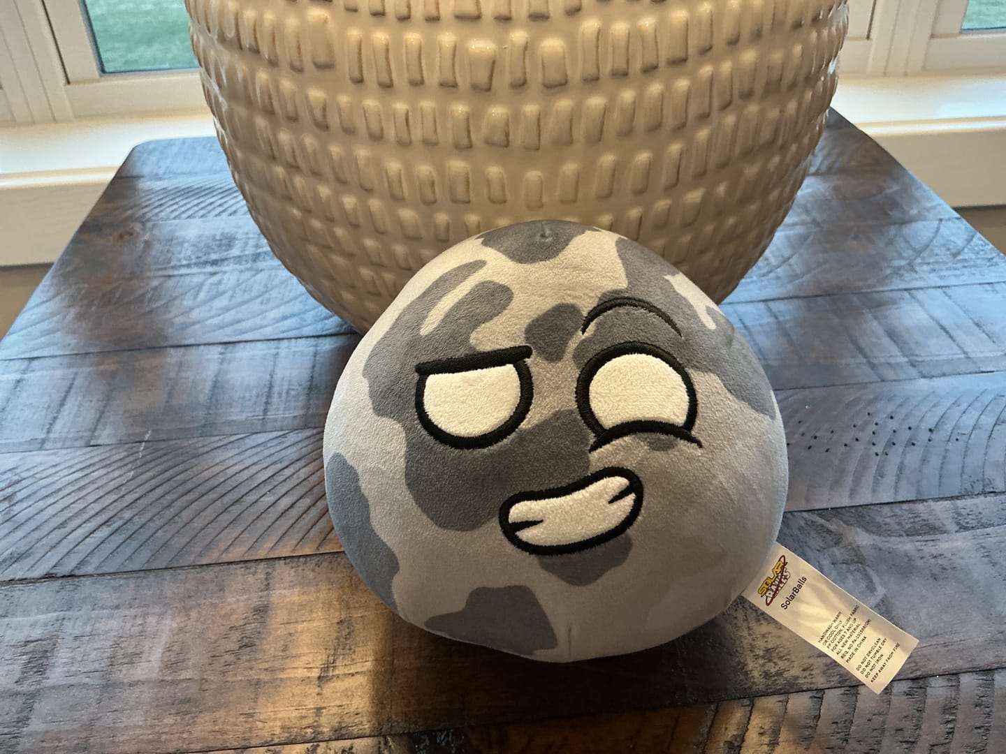 Customer photo review of The SolarBalls Moon Plush