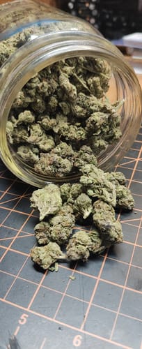 Customer photo review of Black Cherry Runtz - Bulk - Indica