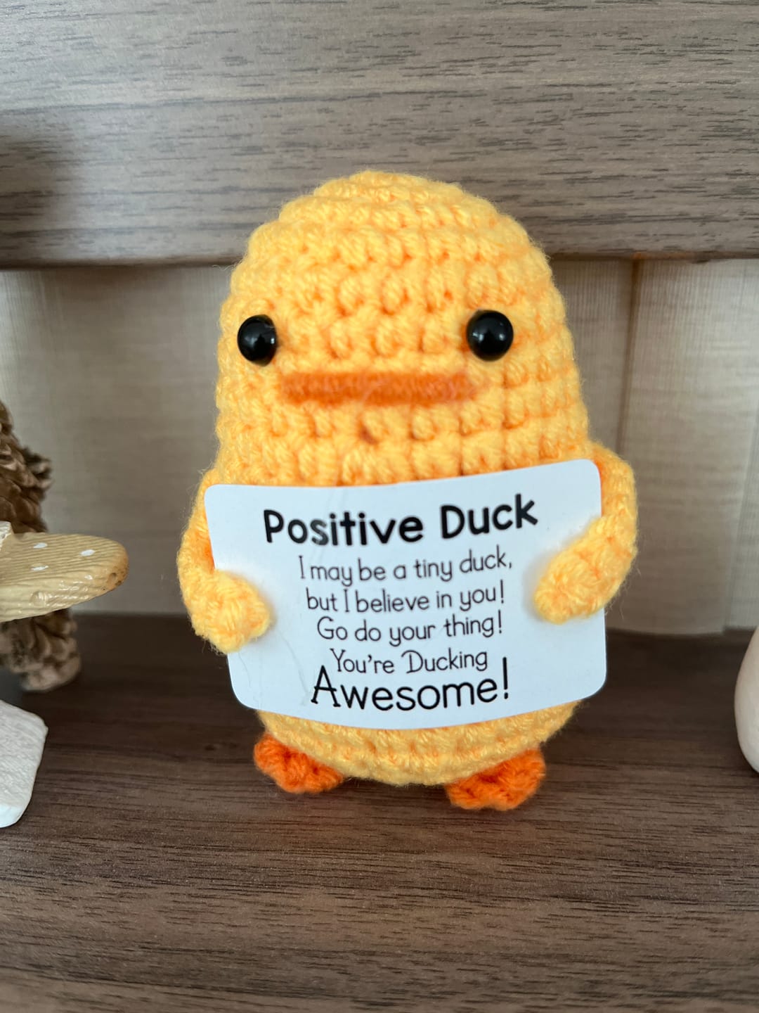 Customer photo review of Positive Crochet Plushies