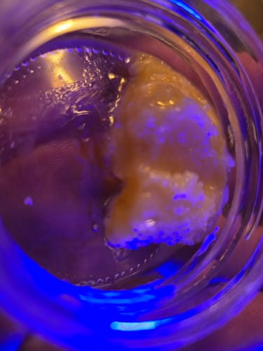 Customer photo review of Blueberry Kush Badder