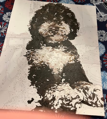 Customer photo review of Custom Pet Paint By Numbers