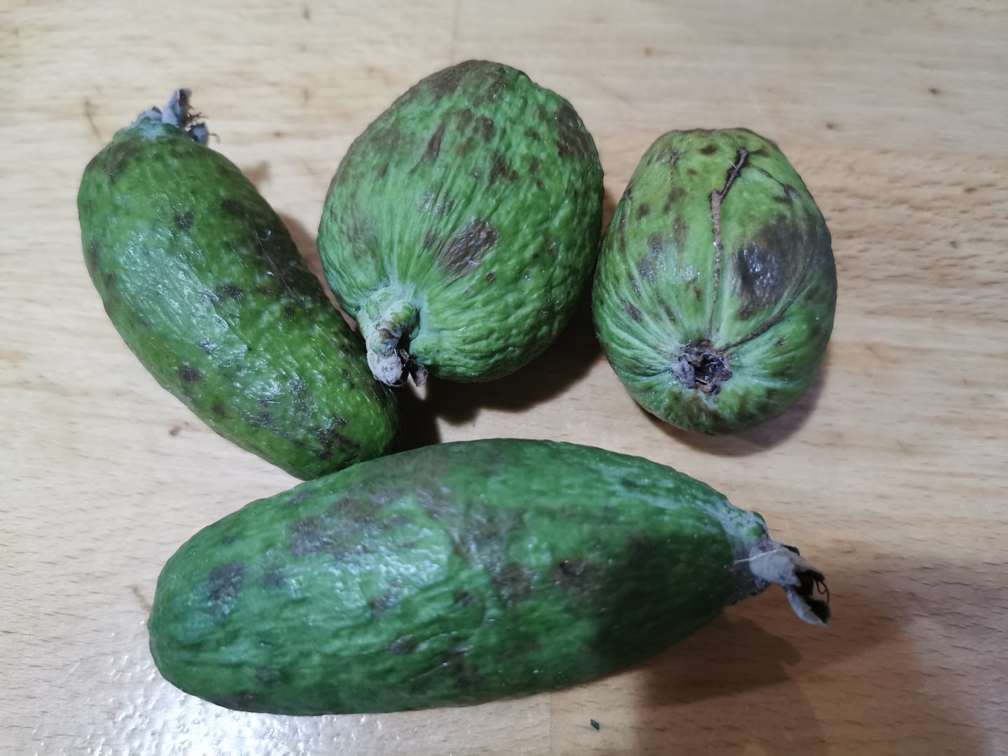 Customer photo review of Feijoa (brasilianische Guave)