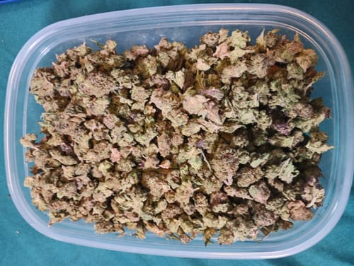 Customer photo review of THCA Flower Budget Buds