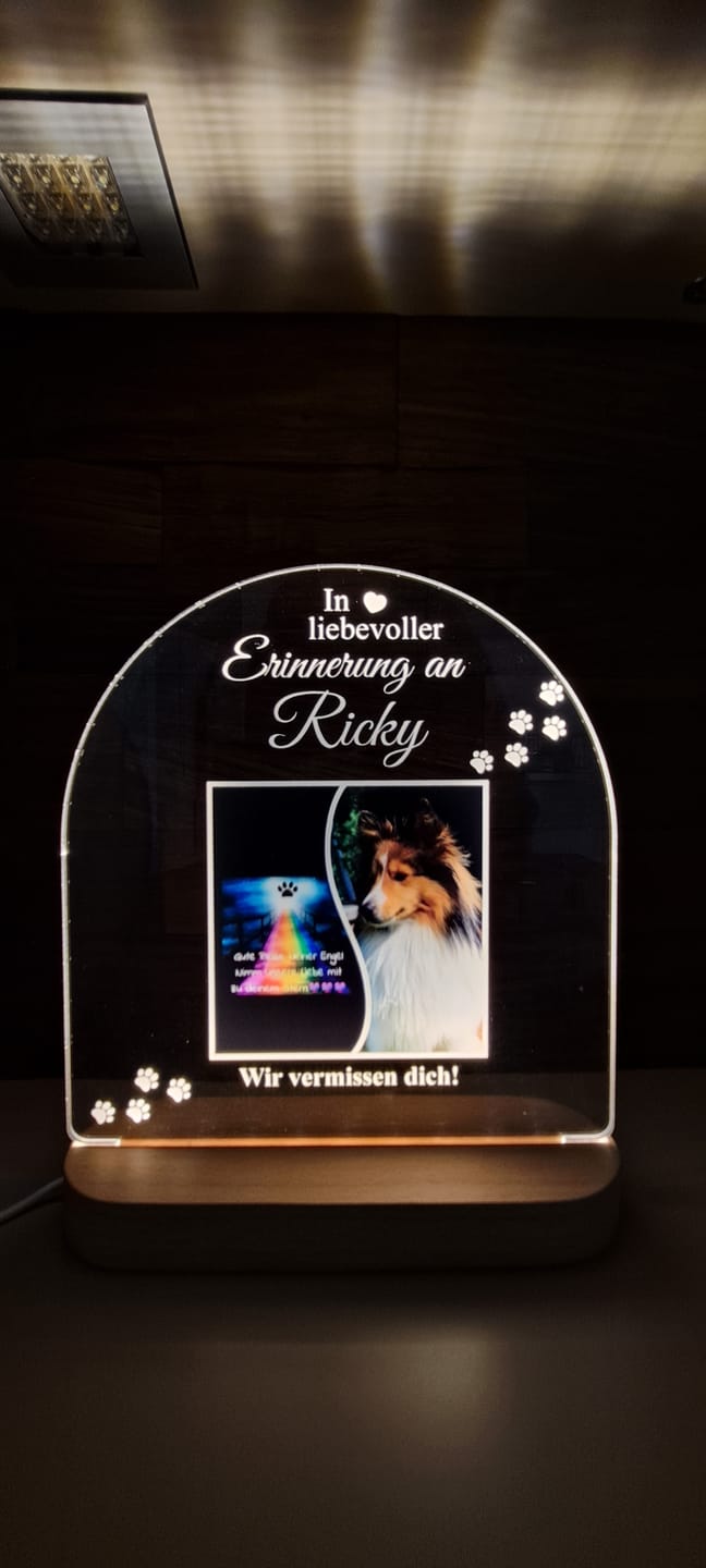 Customer photo review of Zur liebevollen Erinnerung – LED-Lampe für Hund/Katze
