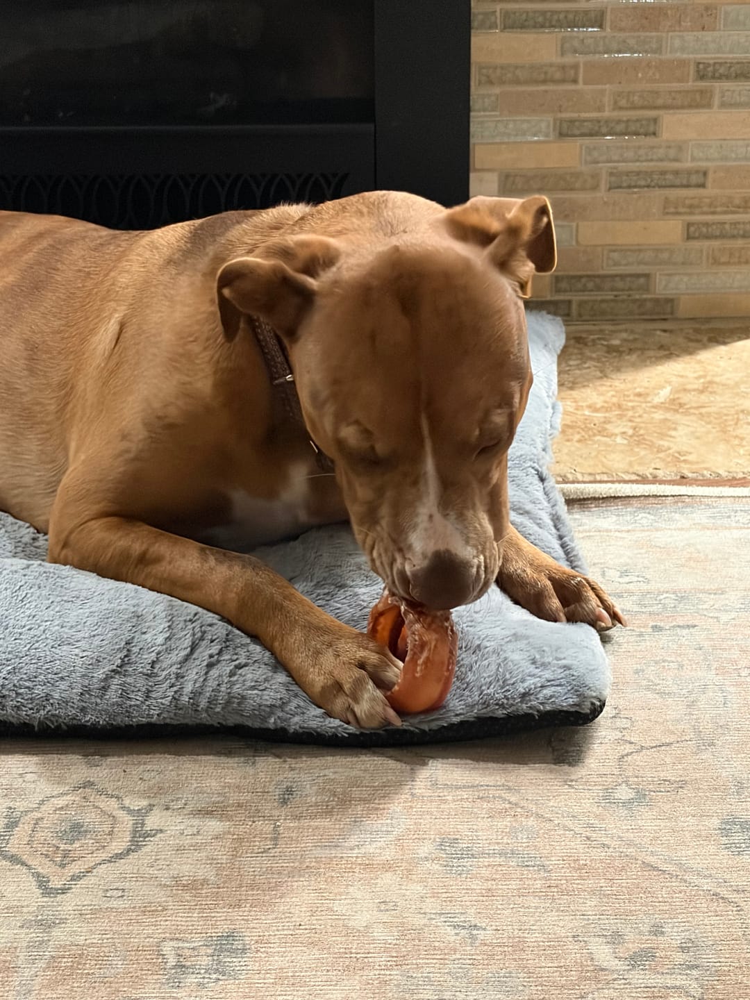 Customer photo review of Small Bully Stick Ring