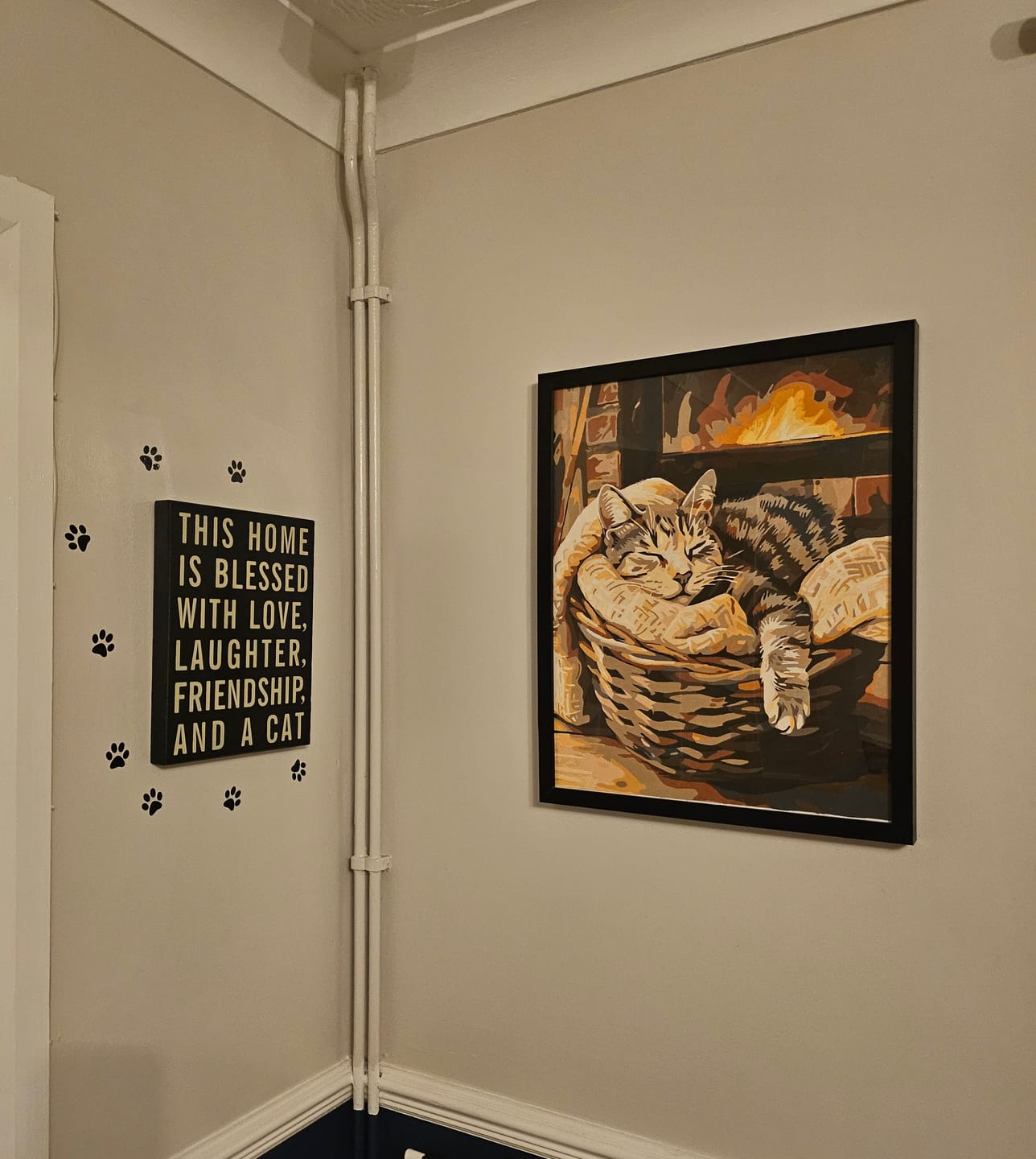 Customer photo review of Bascat