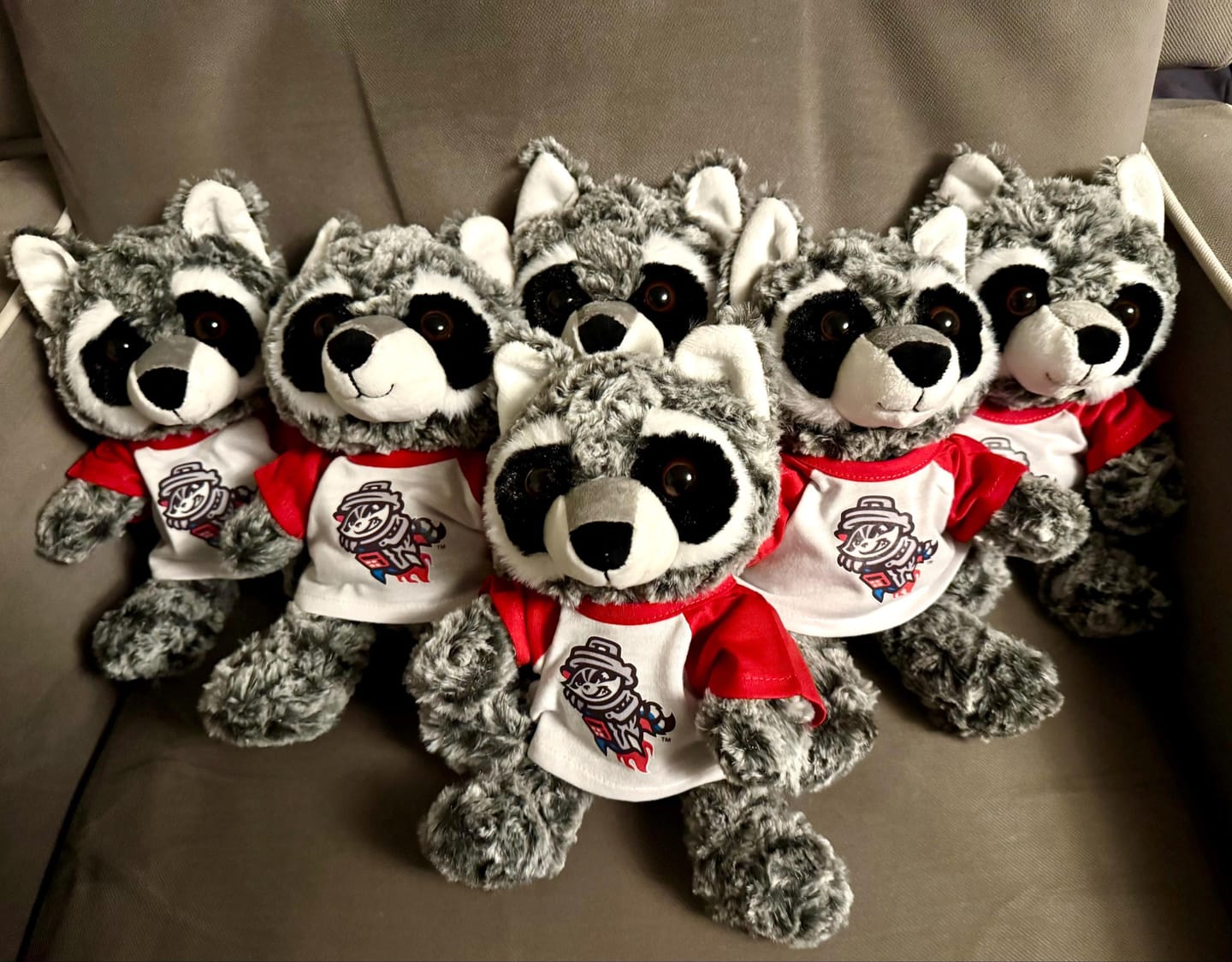 Customer photo review of Custom Stuffed Animal T‑Shirt — Fits 6–8 in Plush