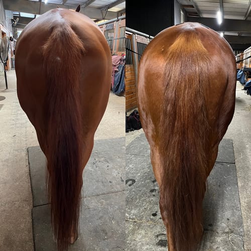 Customer photo review of Digestive HP